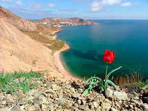 Весна в Орджоникидзе - Крым.