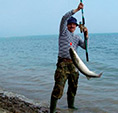Рыба, пойманная в окресностях Орджоникидзе